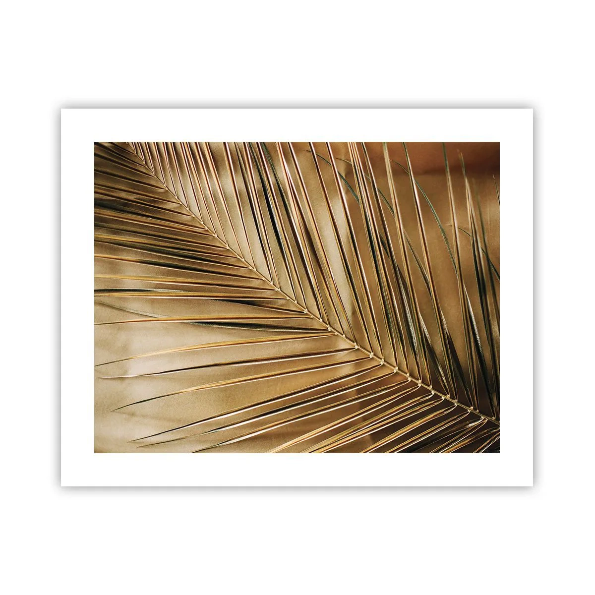 Poster - Natürliche Kolonnade - 50x40 cm