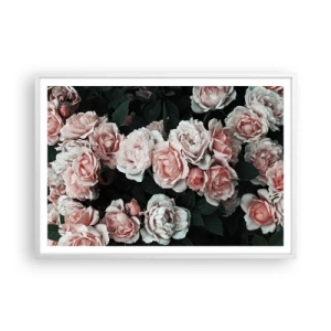 Poster in einem weißen Rahmen - Rosen-Ensemble - 100x70 cm