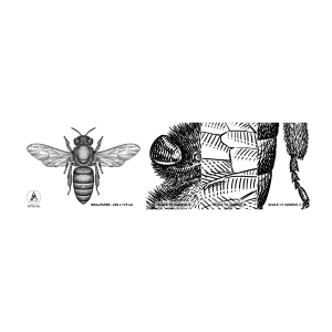 Fototapeten Muster Selbstklebend Deluxe Sticker - Insektenporträt - Biene, Insekt, Minimalistisch - 100x30 cm