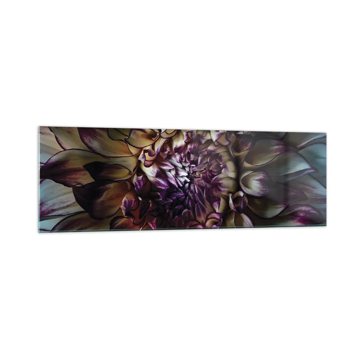Glasbild - Bild auf glas - Nahaufnahme einer Dahlienblüte in dunklen Tönen - 160x50cm - Die Blütezeit der Jugend - Moderne Wanddekoration für Wohnzimmer und Schlafzimmer ARTTOR