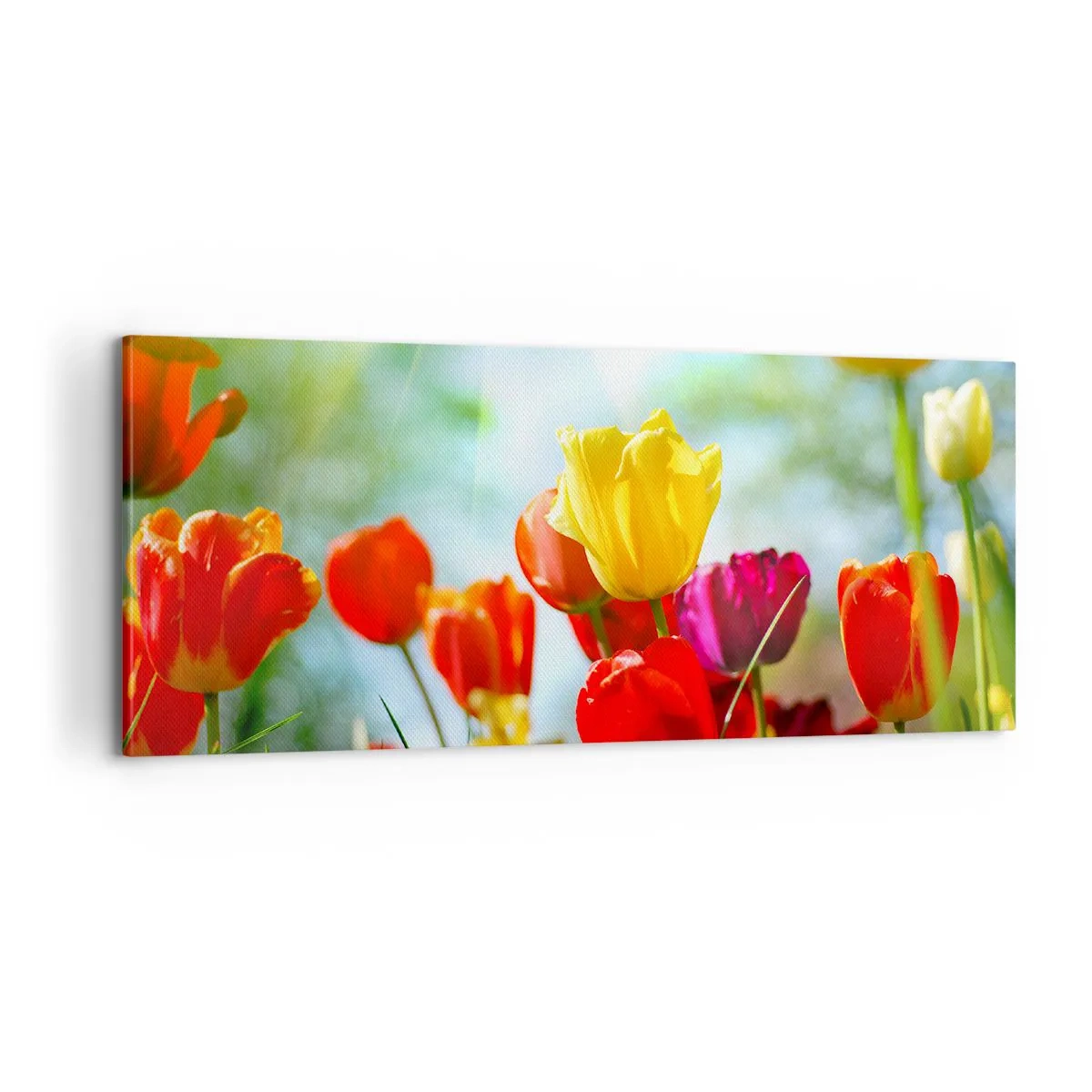 Bild auf Leinwand - Leinwandbild - Alle Farben der Sonne - 100x40 cm
