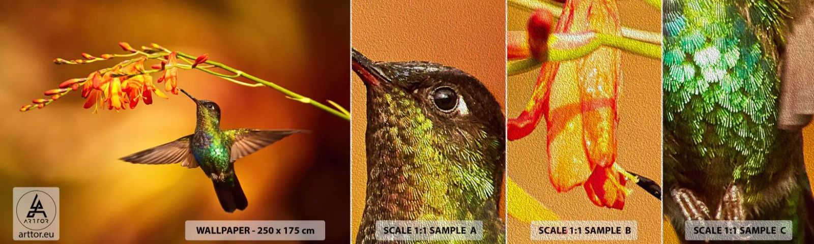 Fototapeten Muster Premium Sand - Ein Lichtbote nach den Maya - Kolibri, Vogel, Natur - 100x30 cm