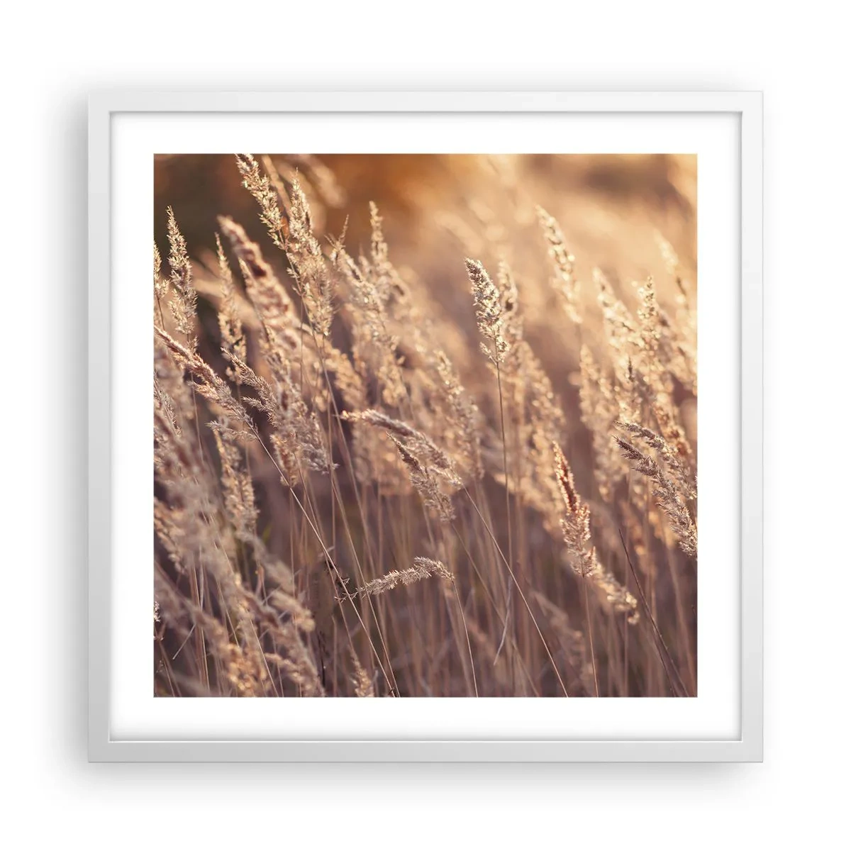 Poster in einem weißen Rahmen - Bereit, den Herbst willkommen zu heißen - 50x50 cm