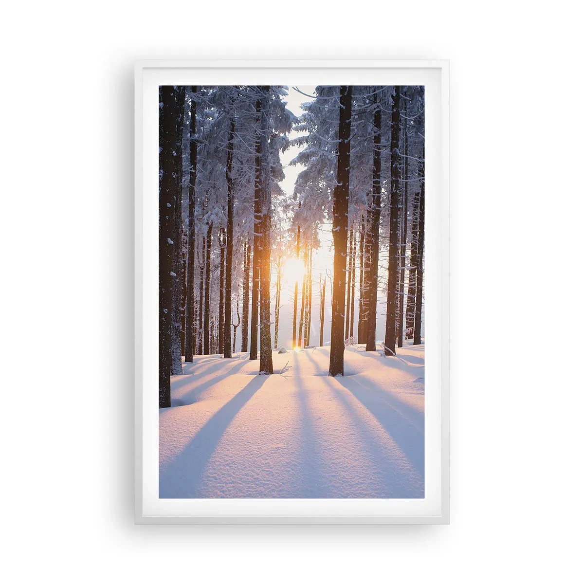 Poster in einem weißen Rahmen - Ganz klar schwarz auf weiß - 61x91 cm