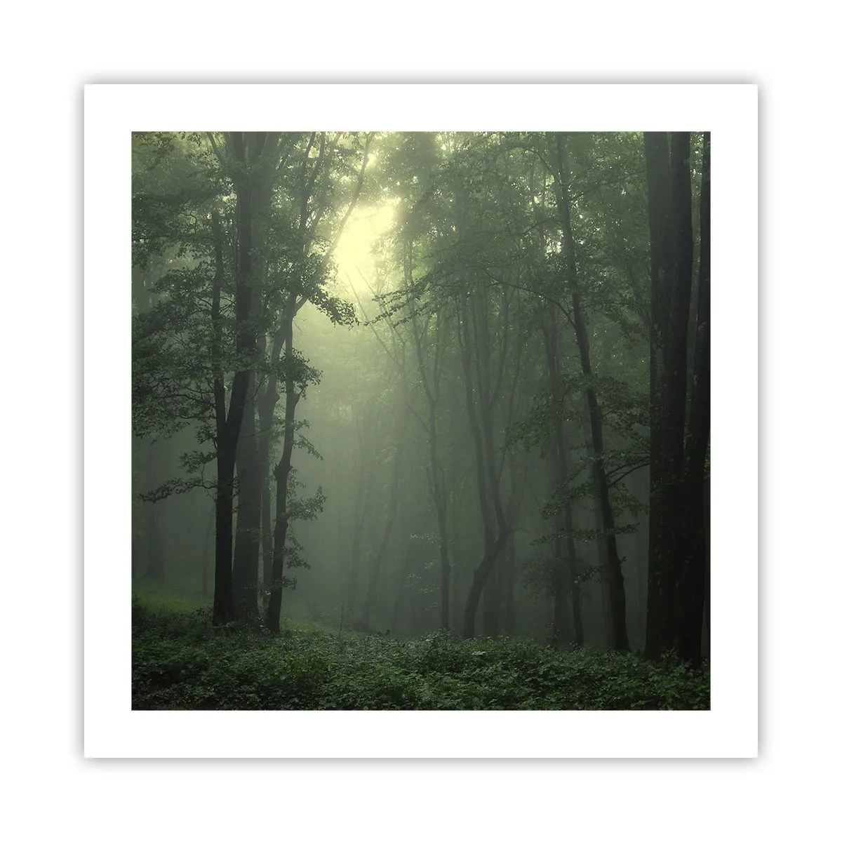 Poster - Bevor er aufwacht - 50x50 cm
