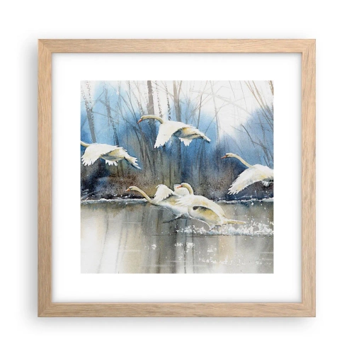 Poster in einem Rahmen aus heller Eiche - Wie im Märchen von den wilden Schwänen - 30x30 cm