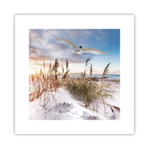 Poster - Wind vom Meer - 30x30 cm