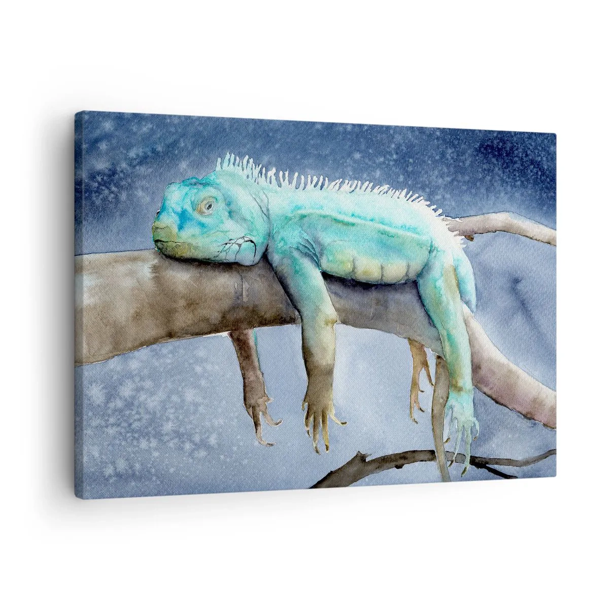 Bild auf Leinwand - Leinwandbild - Blauer Leguan ruht auf einem Ast - 70x50cm - Es ist gut! - Moderne Wanddekoration für Wohnzimmer und Schlafzimmer ARTTOR