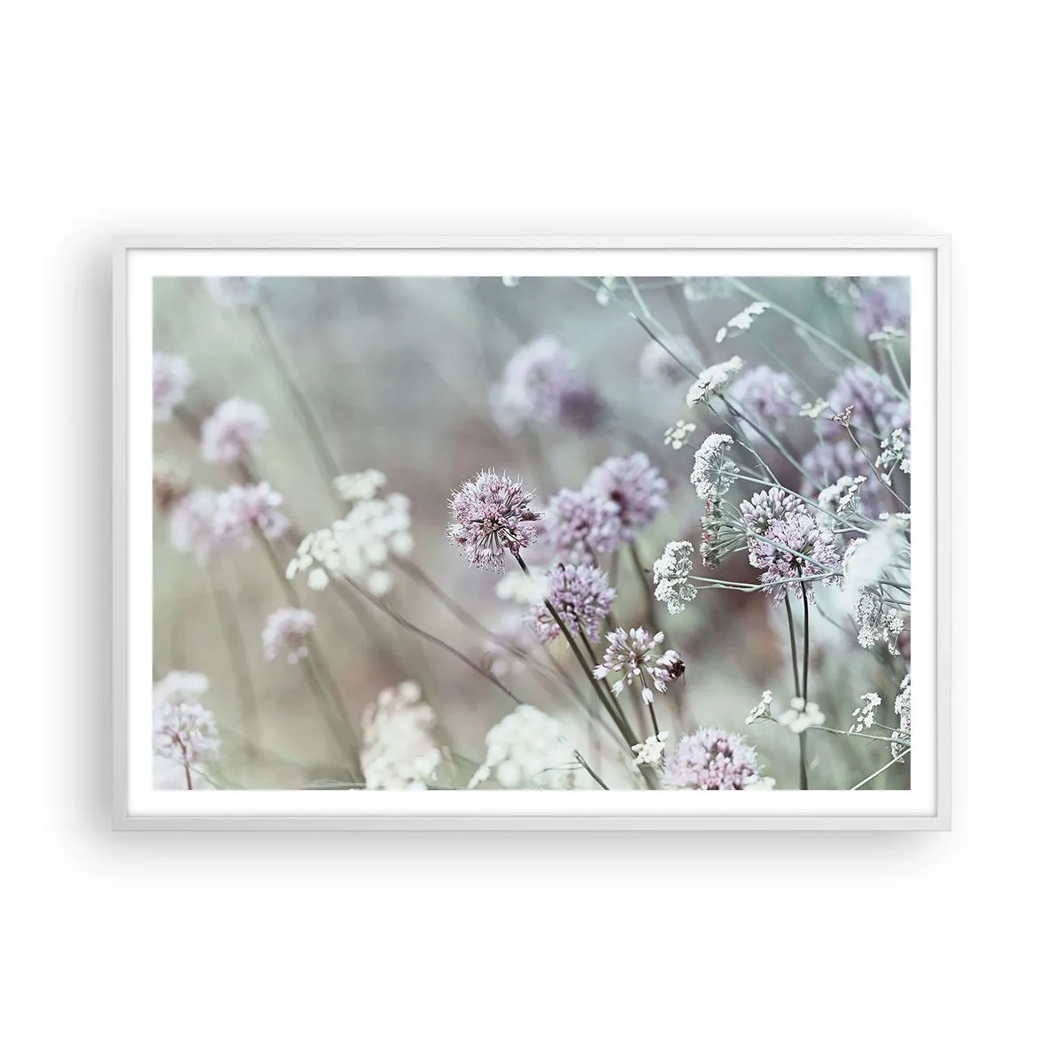 Poster in einem weißen Rahmen - Süße filigrane Kräuter - 100x70 cm