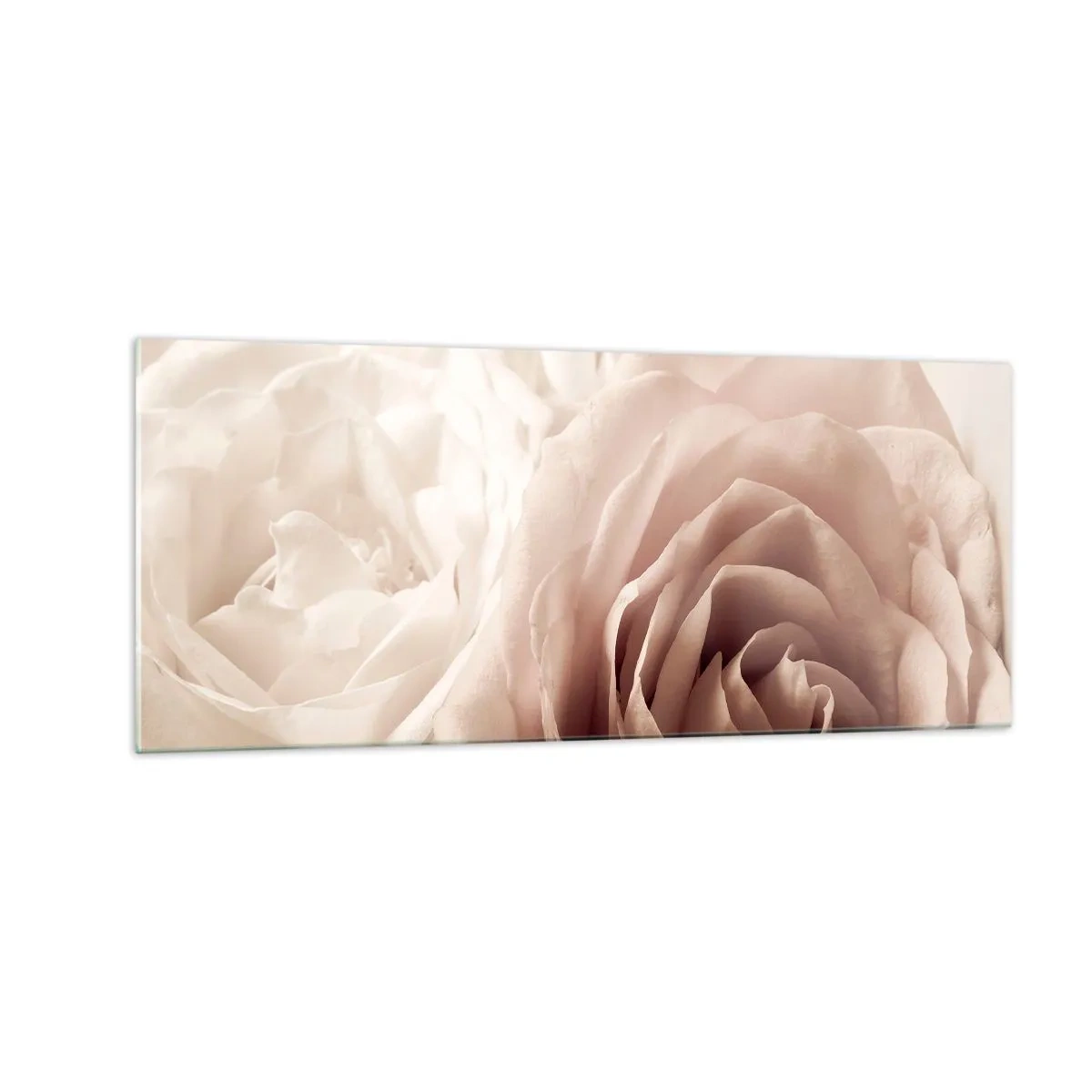 Glasbild - Bild auf glas - Im Herzen der Rose - 100x40 cm