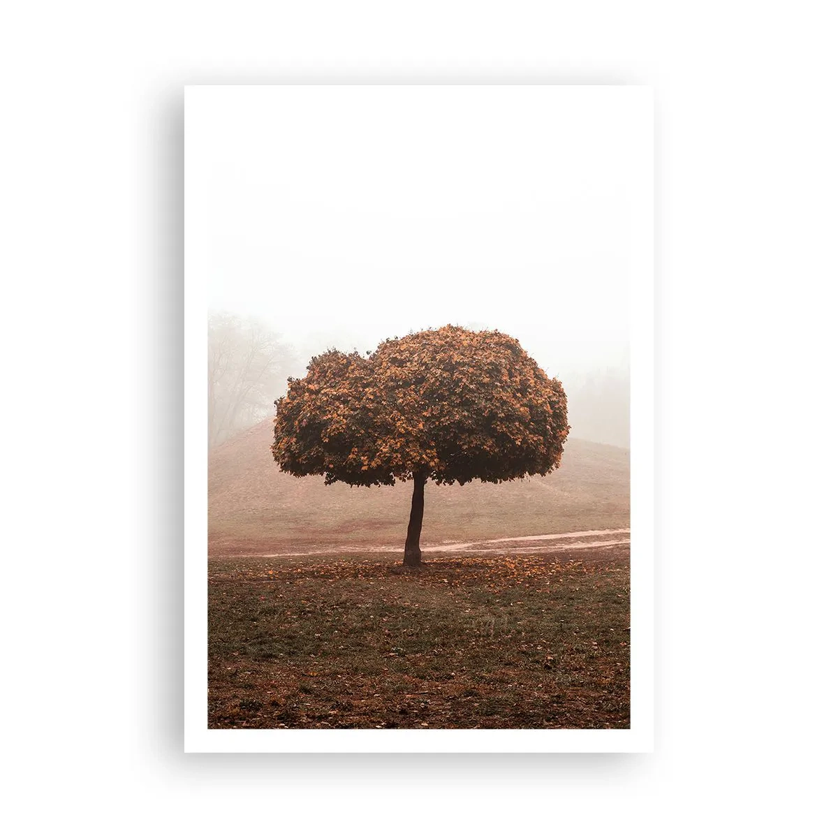 Poster - Nach einem anstrengenden Sommer - 70x100 cm