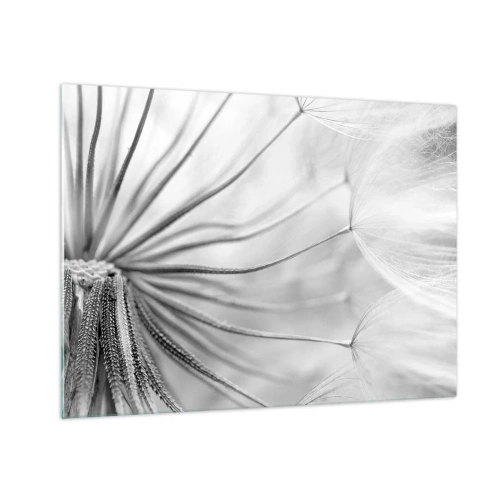 Glasbild - Bild auf glas - Makrofotografie eines Löwenzahns in Schwarz-Weiß-Tönen - 70x50cm - Löwenzahn, Drachen - Moderne Wanddekoration für Wohnzimmer und Schlafzimmer ARTTOR