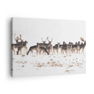 Bild auf Leinwand - Leinwandbild - Eine Herde Hirsche vor einem verschneiten Hintergrund - 70x50cm - Kommen die Weihnachten? - Moderne Wanddekoration für Wohnzimmer und Schlafzimmer ARTTOR