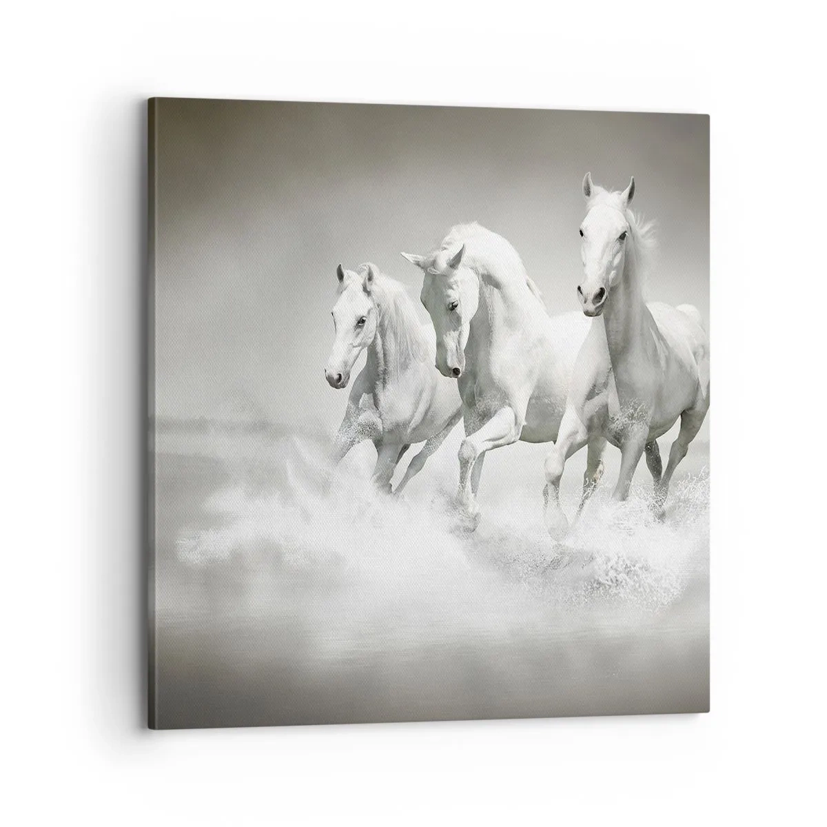 Bild auf Leinwand - Leinwandbild - Weißer Wahnsinn - 70x70 cm