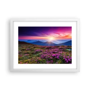 Poster in einem weißen Rahmen - Kräuter dufteten nach frischen Trauben von den Feldern - 40x30 cm