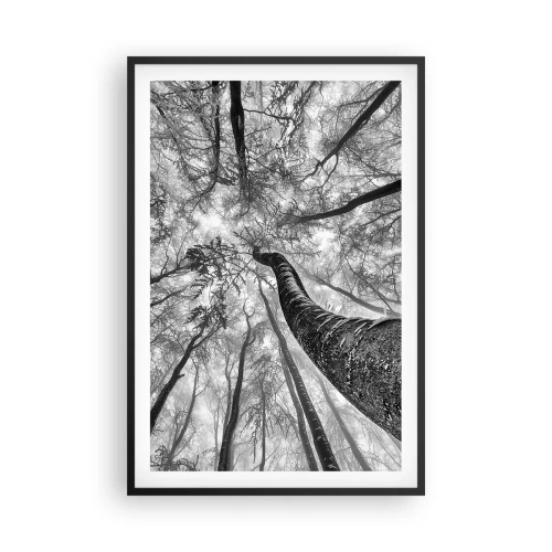 Poster in einem schwarzem Rahmen - Rennen zum Licht - 61x91 cm