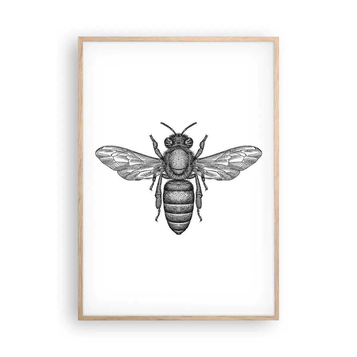 Poster in einem Rahmen aus heller Eiche - Insektenporträt - 70x100 cm