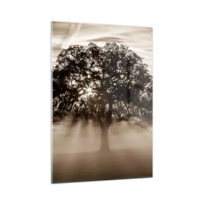 Glasbild - Bild auf glas - Ein Baum im Morgennebel mit Sonnenstrahlen, die durch die Äste scheinen - 50x70cm - Baum der guten Nachrichten  - Moderne Wanddekoration für Wohnzimmer und Schlafzimmer ARTTOR