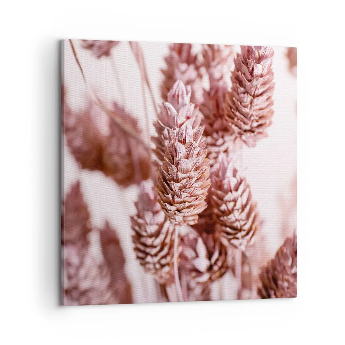 Bild auf Leinwand - Leinwandbild - Scheinbar unauffällig - 50x50 cm