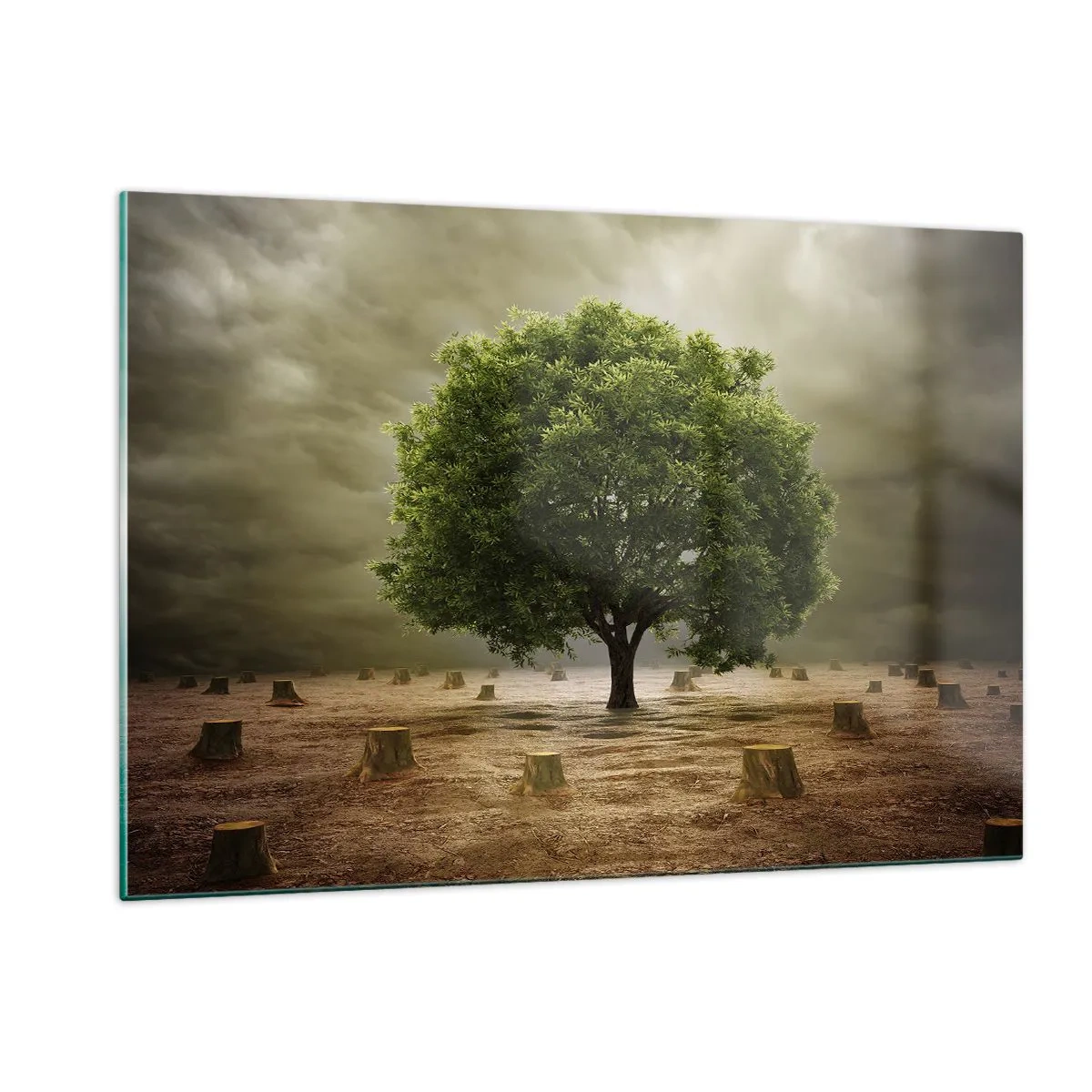 Glasbild - Bild auf glas - Ein grüner Baum, umgeben von Stämmen vor einem düsteren Himmel - 120x80cm - Alle Hoffnung - Moderne Wanddekoration für Wohnzimmer und Schlafzimmer ARTTOR