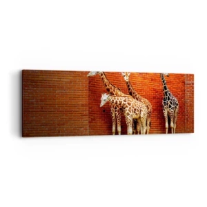 Bild auf Leinwand - Leinwandbild - Sehen Sie Akazien? - 90x30 cm