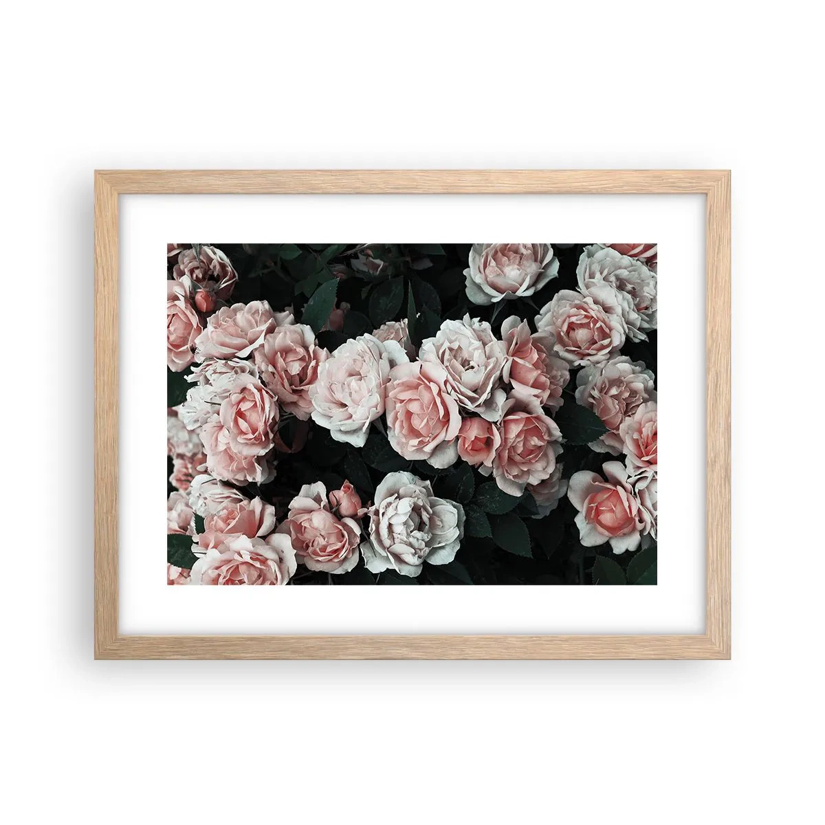Poster in einem Rahmen aus heller Eiche - Rosen-Ensemble - 40x30 cm