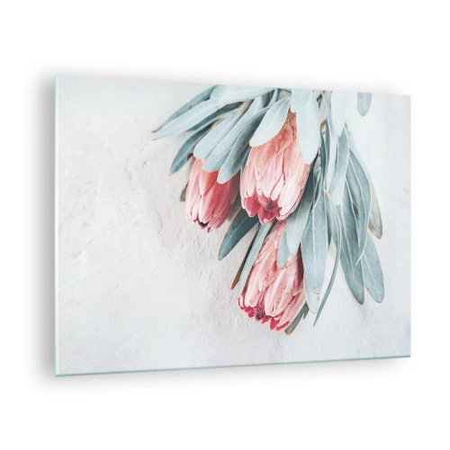Glasbild - Bild auf glas - Drei pastellfarbene Protea-Blüten mit Blättern auf hellem Hintergrund - 70x50cm - Schämen sich für ihre eigene Schönheit - Moderne Wanddekoration für Wohnzimmer und Schlafzimmer ARTTOR