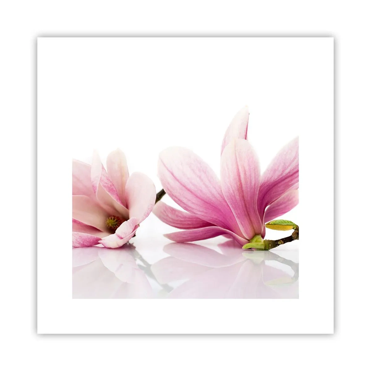 Poster - Zart wie ein Frühlingswind - 30x30 cm