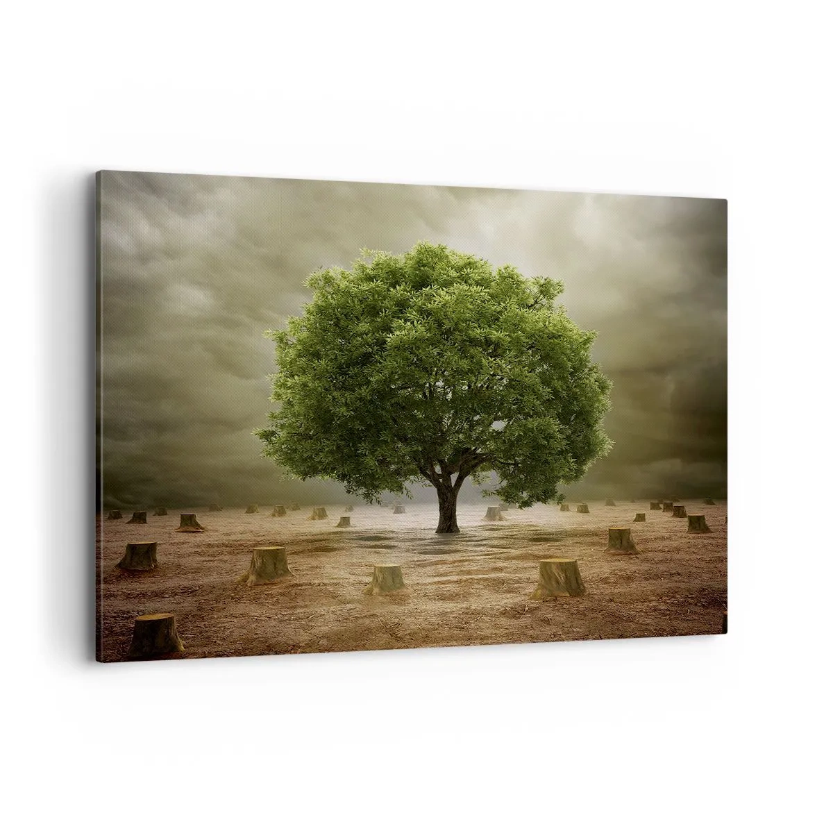 Bild auf Leinwand - Leinwandbild - Ein grüner Baum, umgeben von gefällten Baumstämmen vor einem bewölkten Himmel - 100x70cm - Alle Hoffnung - Moderne Wanddekoration für Wohnzimmer und Schlafzimmer ARTTOR