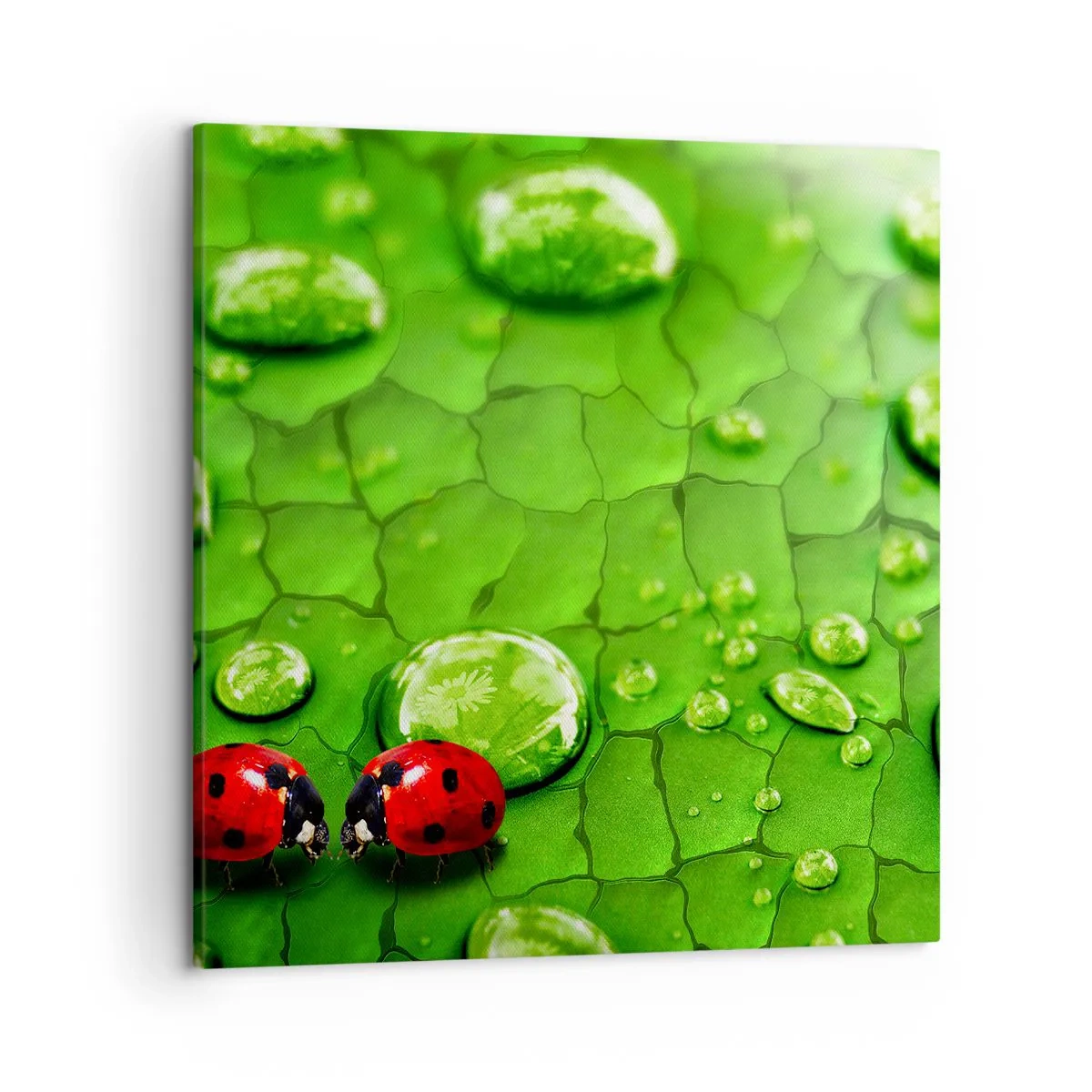 Bild auf Leinwand - Leinwandbild - Treffen im Grünen - 50x50 cm