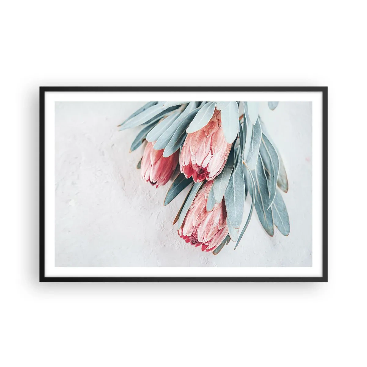 Poster in einem schwarzem Rahmen - Schämen sich für ihre eigene Schönheit - 91x61 cm