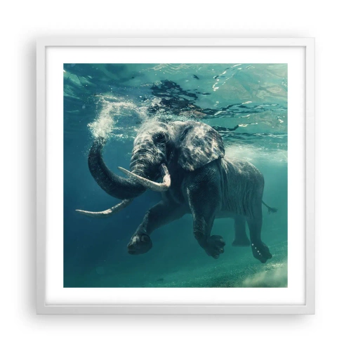 Poster in einem weißen Rahmen - Jeder schwimmt gerne - 50x50 cm