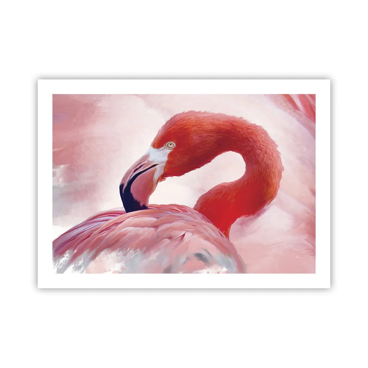 Poster - Vogel Schönheit - 70x50 cm