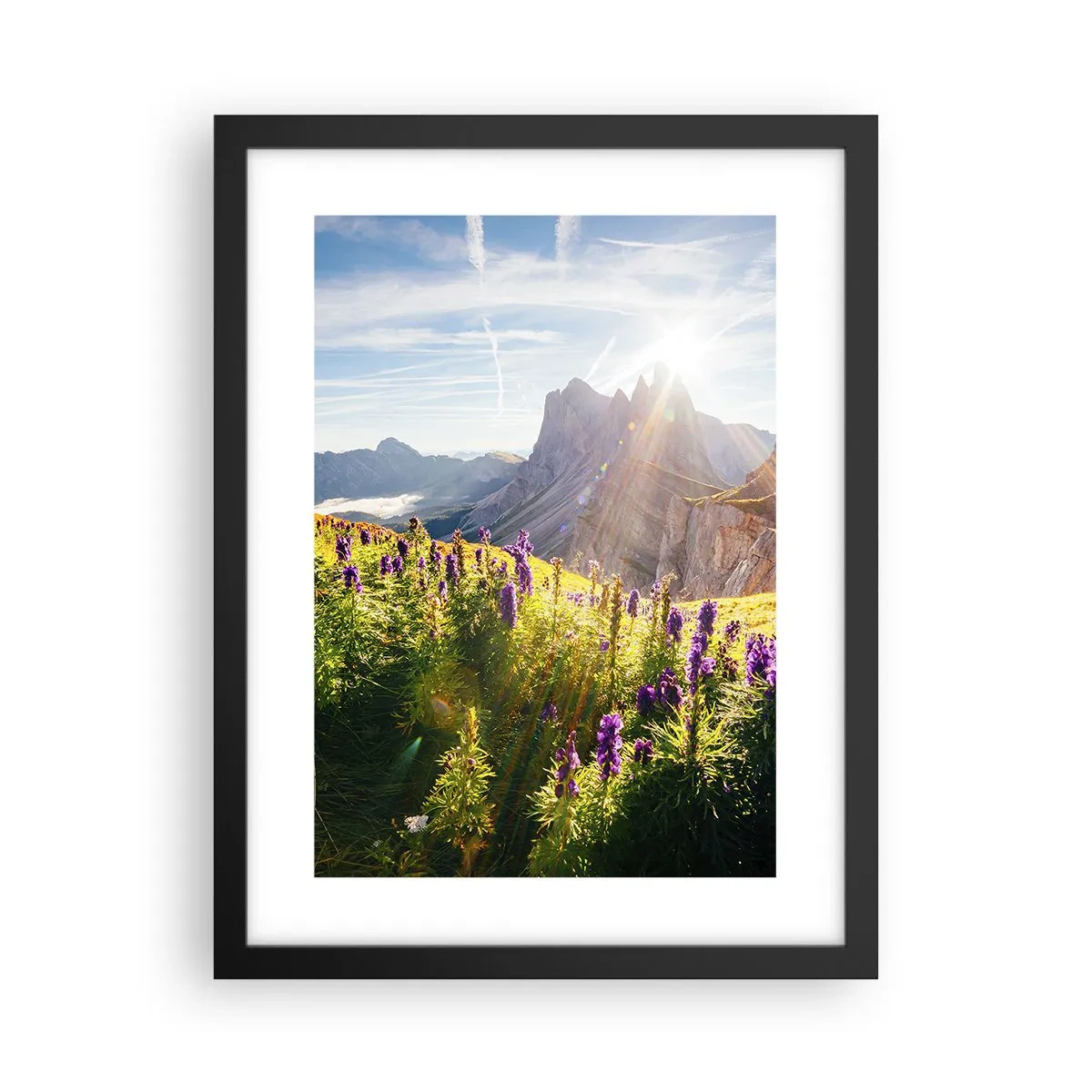 Poster in einem schwarzem Rahmen - Das geheime Leben der Kräuter - 30x40 cm