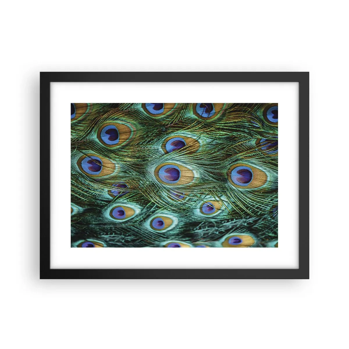 Poster in einem schwarzem Rahmen - Ein Blick mit Pfauenaugen - 40x30 cm