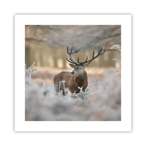 Poster - Ein flotter Morgen - 40x40 cm