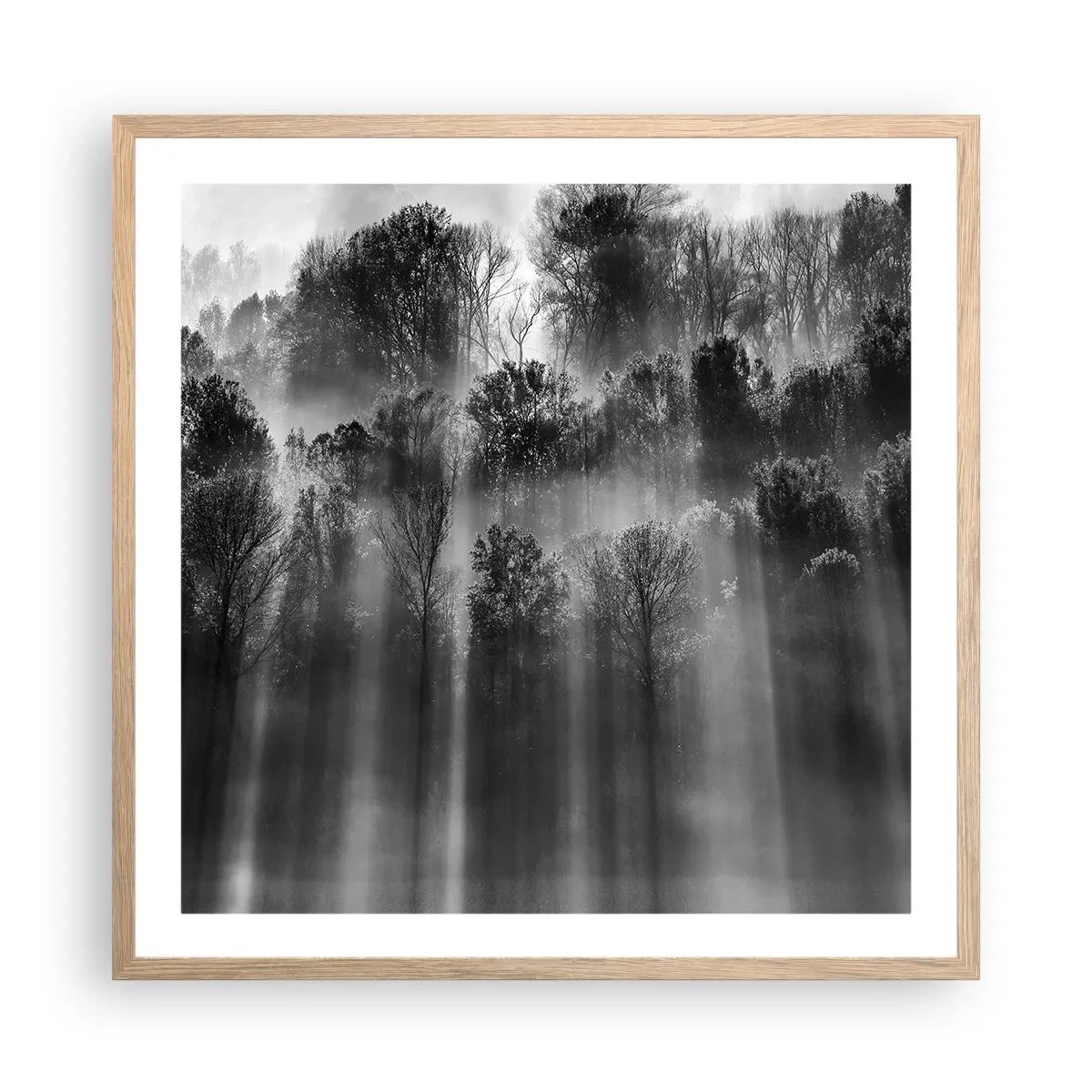 Poster in einem Rahmen aus heller Eiche - In Lichtstrahlen - 60x60 cm