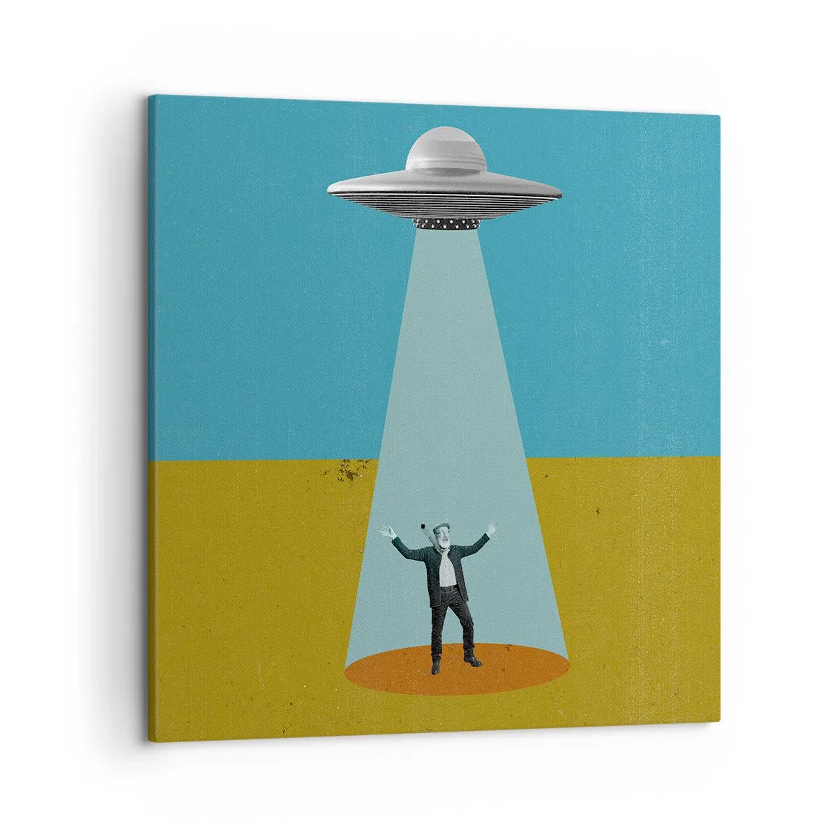 Bild auf Leinwand - Leinwandbild - Nahe Begegnung - 50x50 cm