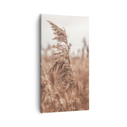 Bild auf Leinwand - Leinwandbild - Auf den Feldern ist es schon Herbst - 55x100 cm