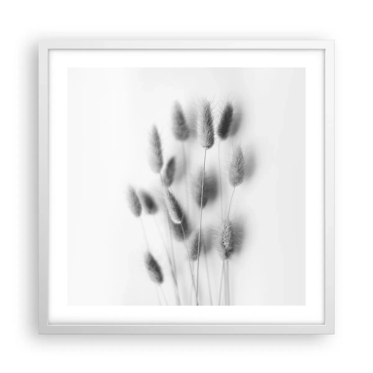 Poster in einem weißen Rahmen - Eure flauschige Grashoheit - 50x50 cm