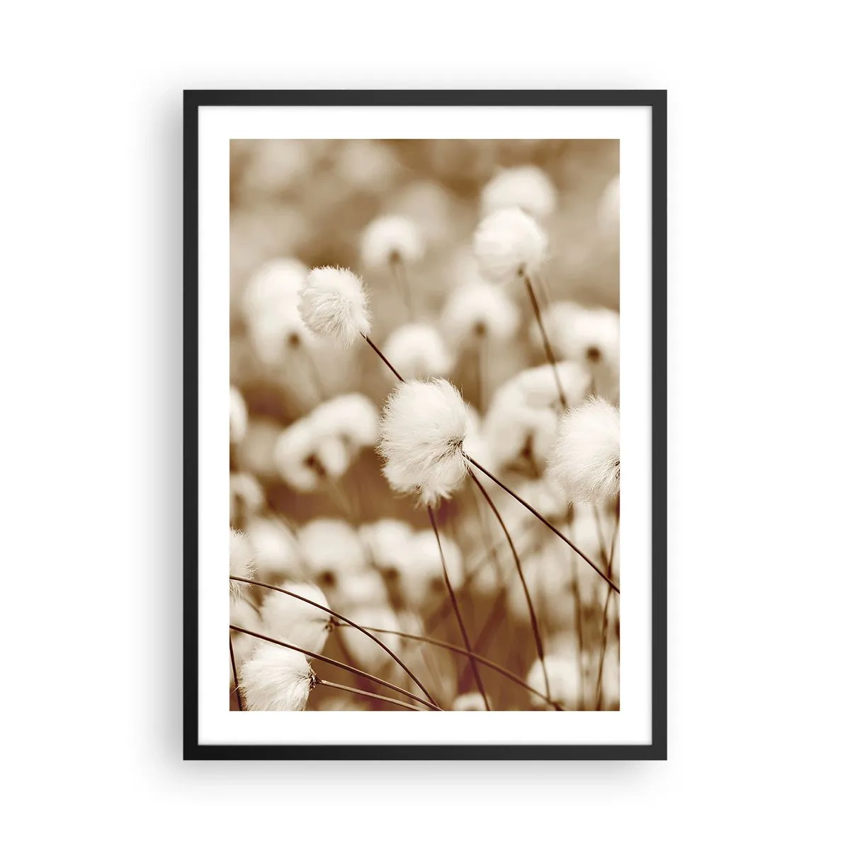 Poster in einem schwarzem Rahmen - Flauschige Grashalme in einer zarten Aufnahme - 50x70cm - Flauschiges Kornfeld - Moderne Wanddekoration für Wohnzimmer und Schlafzimmer ARTTOR