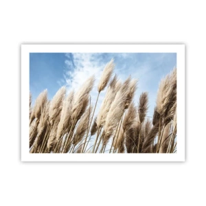 Poster - Sonnige und windige Liebkosungen - 70x50 cm