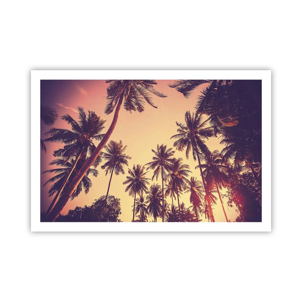 Poster - Tropische Variante - 91x61 cm