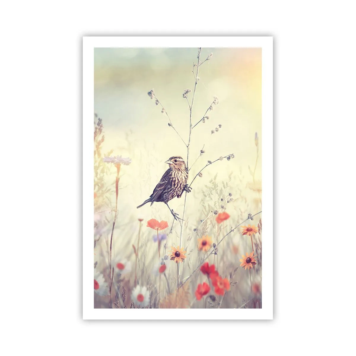 Poster - Vogelporträt mit einer Wiese im Hintergrund - 61x91 cm