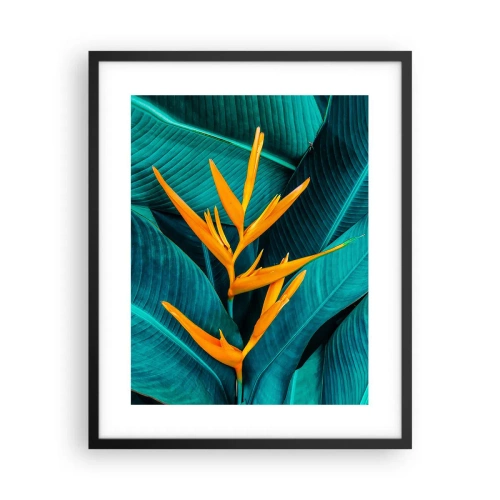 Poster in einem schwarzem Rahmen - Eden-Blume - 40x50 cm