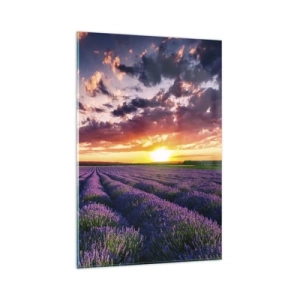 Glasbild - Bild auf glas - Ein Lavendelfeld bei Sonnenuntergang mit einem farbenfrohen Himmel - 80x120cm - Lavendel Welt - Moderne Wanddekoration für Wohnzimmer und Schlafzimmer ARTTOR