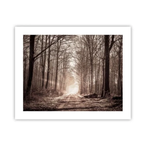 Poster - Waldkathedrale - 50x40 cm