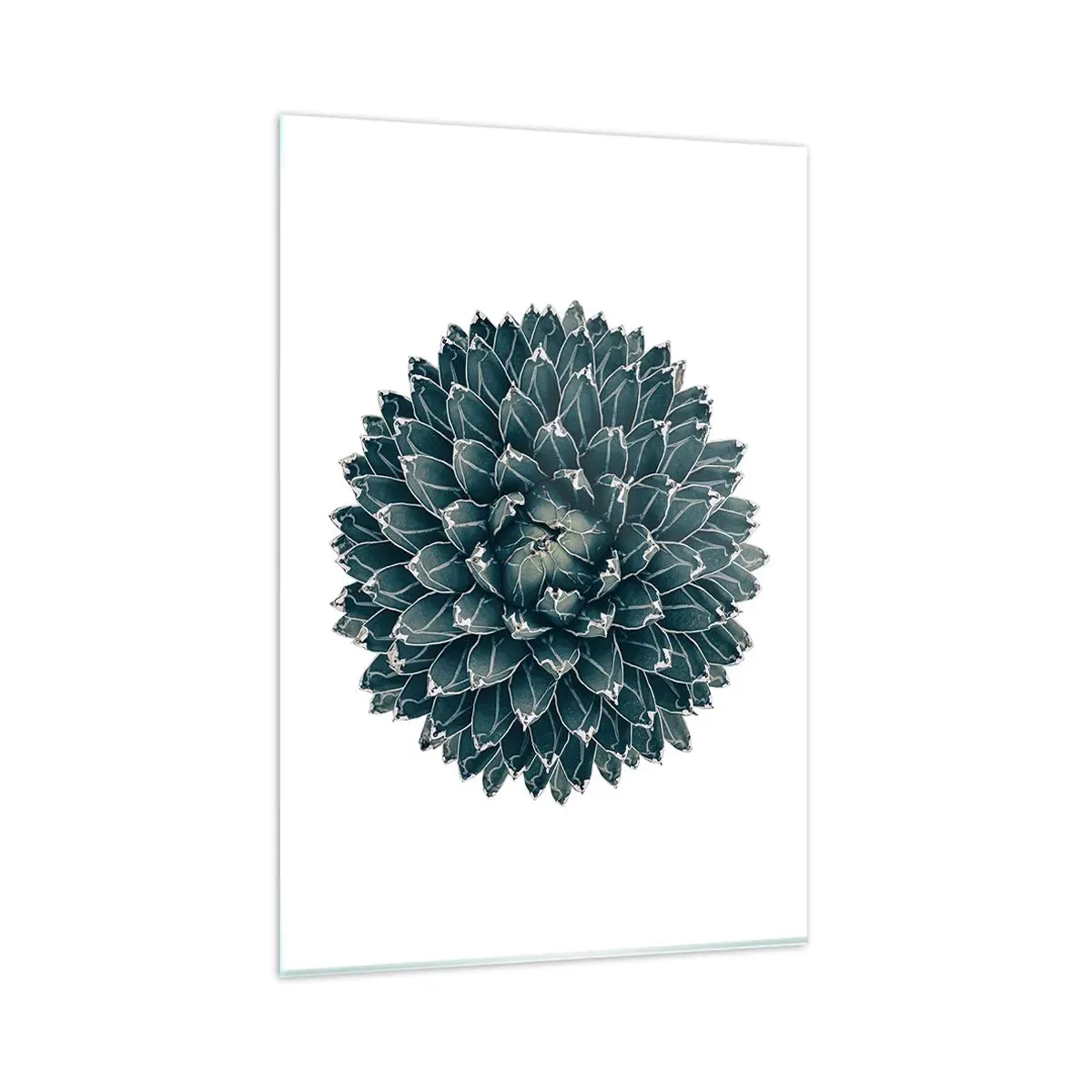 Glasbild - Bild auf glas - Symmetrische Sukkulente auf weißem Hintergrund - 80x120cm - Stern der Wüste - Moderne Wanddekoration für Wohnzimmer und Schlafzimmer ARTTOR