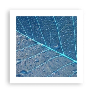 Poster - Leben in Blau - 40x40 cm