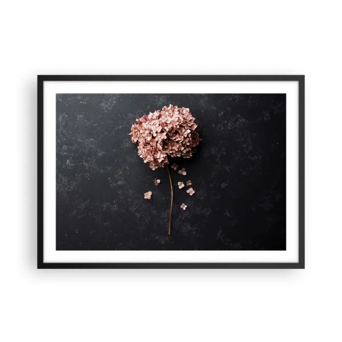 Poster in einem schwarzem Rahmen - Eine zarte Hortensienblüte auf dunklem Hintergrund - 70x50cm - Wirklich romantisches Zeichen - Moderne Wanddekoration für Wohnzimmer und Schlafzimmer ARTTOR